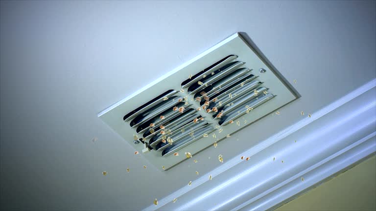 Trusted Amelia, LA Airduct Cleaning Experts
