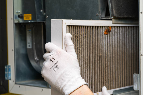 Best Emergency Air Duct Cleaning  in Amelia, LA