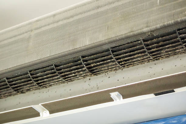 Ductwork Cleaning Services in Amelia, LA