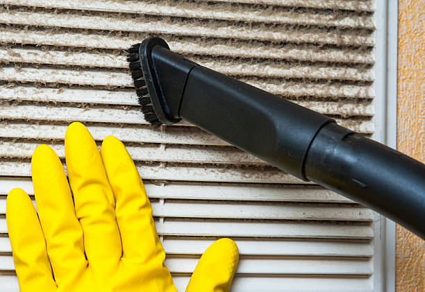 Best HVAC Duct Inspection Services  in Amelia, LA
