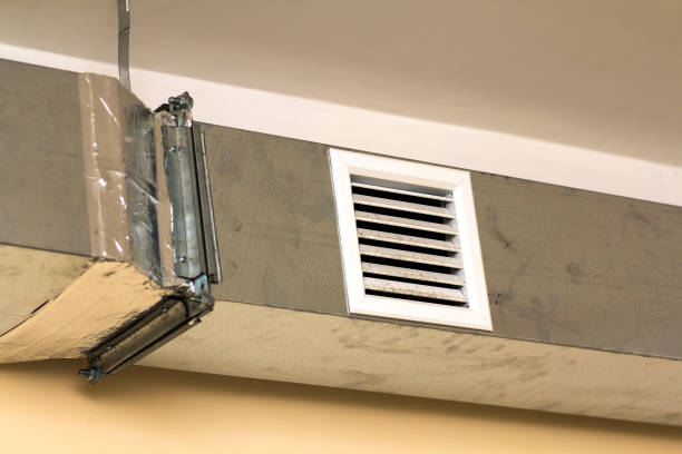 Best Air Duct Sanitizing Services  in Amelia, LA